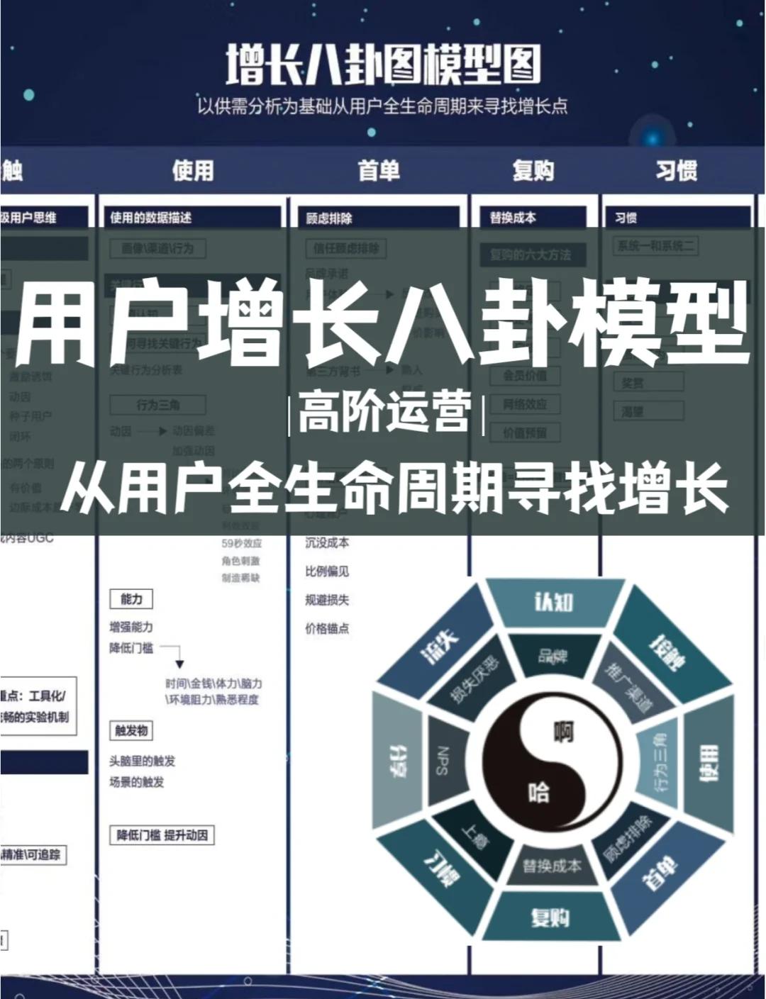 资本路径规划增长(资本化道路什么意思)潍坊市