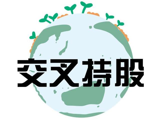 交叉持股安排设计(交叉持股怎么计算持股比例)潍坊市